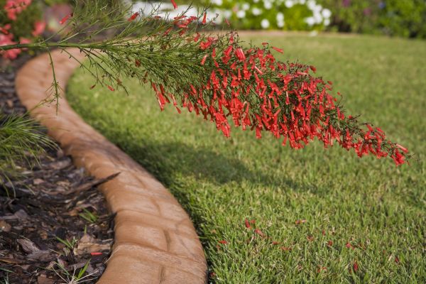 Brick Edging in Warren