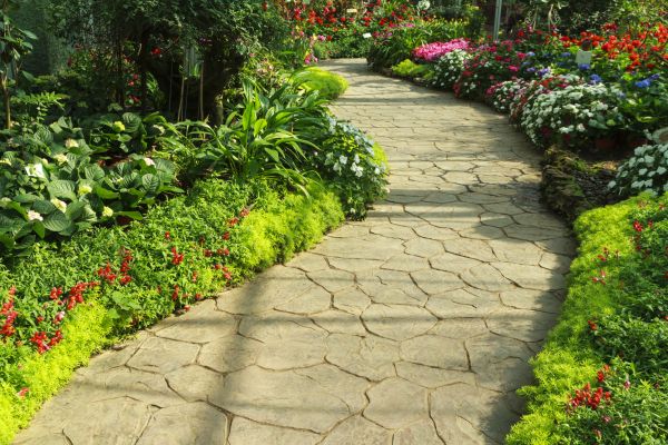 Stone Pathway Repair in Warren