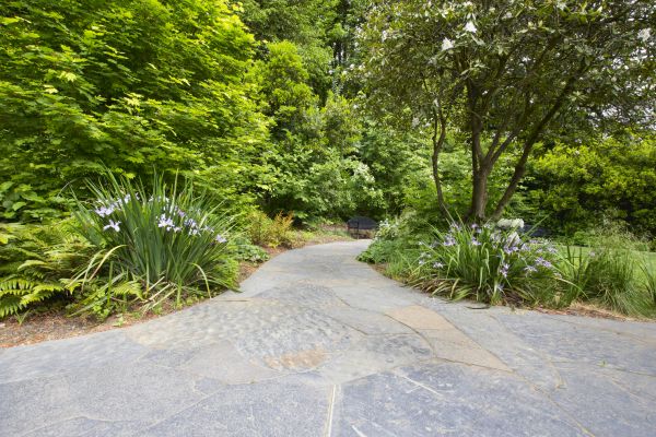 Stone Hardscape Service in Warren