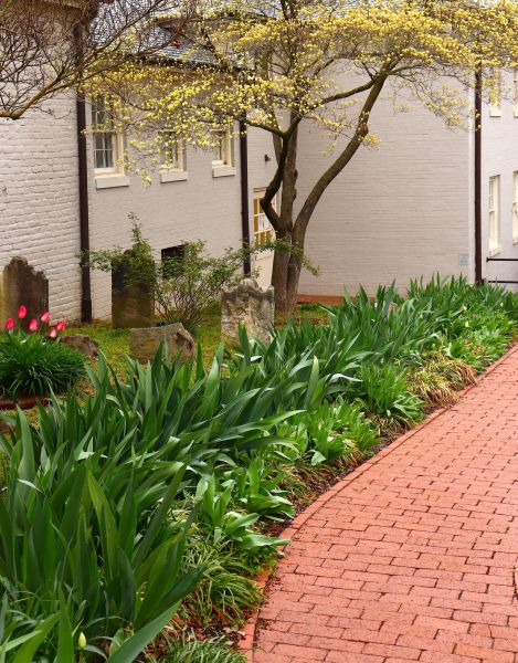 Brick Flatwork Repair in Warren